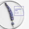 Decleor Lavender Iris Lifting Aromessence Serum