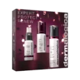 Expert Protect + Renew